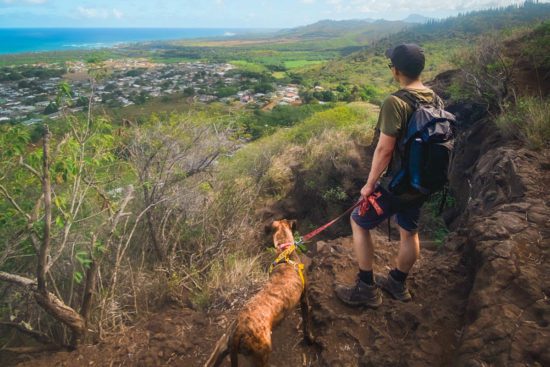 Man and shelter dog hike the Nou Nou Mountain in Kauai Hawaii