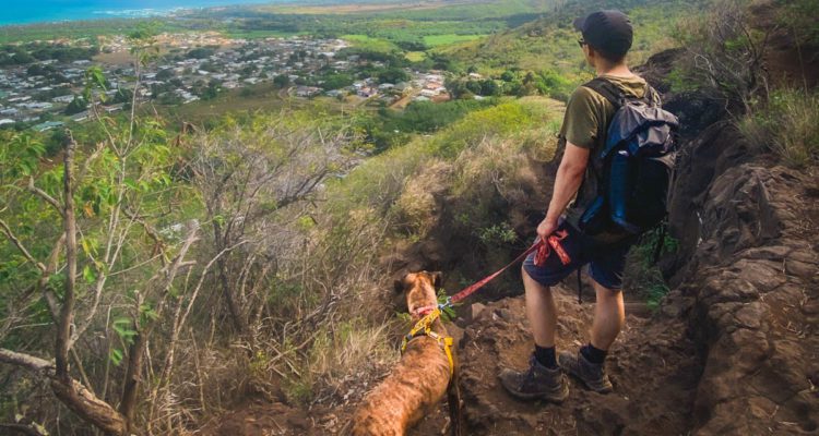 Man and shelter dog hike the Nou Nou Mountain in Kauai Hawaii