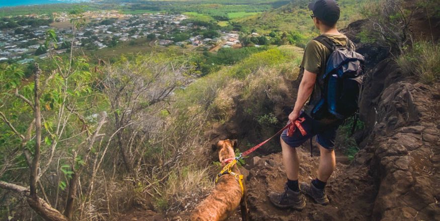 Man and shelter dog hike the Nou Nou Mountain in Kauai Hawaii
