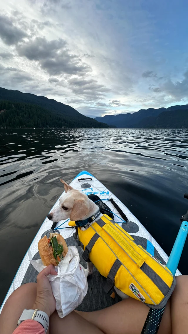 Part 7/30 bucketlist summer adventures ⤵️ if paddleboarding with dinner in hand sounds like your kind of date, you’re in the right corner of the internet 🥪🐶⛰️ 

➡️ Save this idea for your summer plans & send this to someone you want to go with!

You don’t need a rooftop bar to have dinner with a view…just grab a banh mi from your local Vietnamese spot, your paddleboard, and a friend, and head for the mountains. 

That’s exactly what we did after work last week and we even got to spend the evening with 3 sea dogs! 🦦

(Safety disclaimer: please ensure you go with a buddy - it’s not particularly safe to be out in open water alone). 

📍 North Shore, Vancouver, BC, Canada 
(DM for the exact spot for launch) 

Would you eat dinner here? 
_______ 
✨ And if you’re new here, follow @ajourneyinspired for:
✔️ Unique outdoor adventure ideas, in Vancouver and beyond 
✔️ Trail runs, backpacking routes, and hiking inspiration to stay active and healthy this summer 
✔️ Midweek microadventures that fuel your soul

Any questions? Let us know in the comments! ☺️
.
.
.
.
#adventurepeople #granolagirl #standuppaddle #adventuredog #explorevancouver