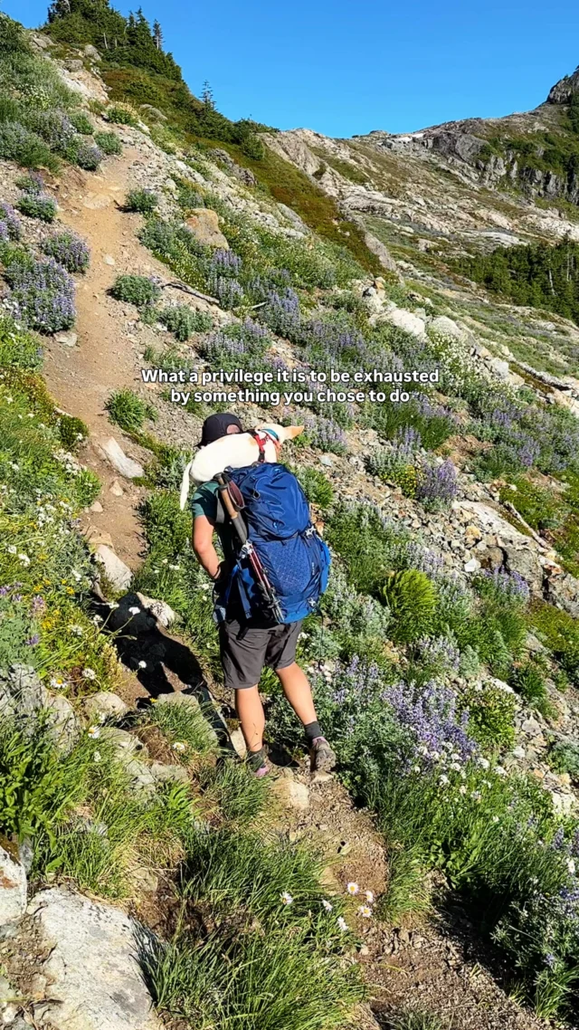 And what a privilege it is to be healthy and able to hike to experience this…I will never take it for granted 🥹 

I couldn’t help but hop on this trend! Gotta love the positive reminders it’s bringing to light 💛

Can you relate? 

📍 DM me for the trail location (it’s one of the most beautiful places I’ve ever been to) and follow for more adventure inspo ❤️

____ 
PS. Asher wasn’t hurt in this video but it is an important rescue technique to know how to carry your dog on your shoulders like this. 

Our dog is a little chiweenie terrier and he did this steep backpacking route all by himself. Near the end of day 1 he was really hungry (lol relatable) so we carried him for a few minutes, and he had the time of his life sitting on the back of Geoff’s big bag. After the little break he finished the hike on his own, but I wanted to acknowledge it’s important to detect signs of fatigue in your pets! ☺️ 

Any questions about this place? Let me know 👇
.
.
.
.
.
#adventurepeople #beautifulspots #besthikes #explorebclocal #vancouverislandbc